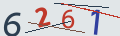 verifycode